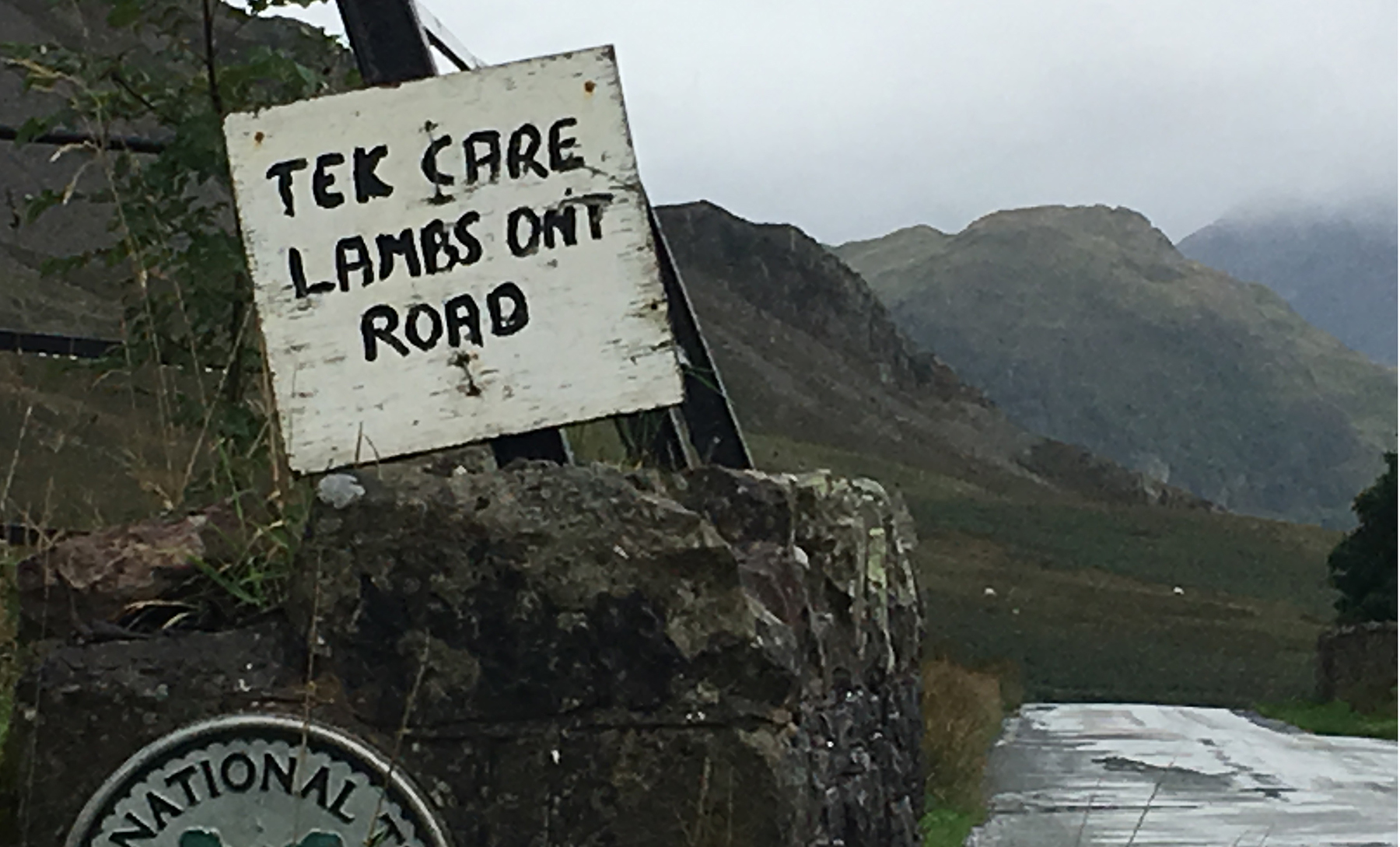 Tek Care Lambs sign at Crummockwater, Cumbria