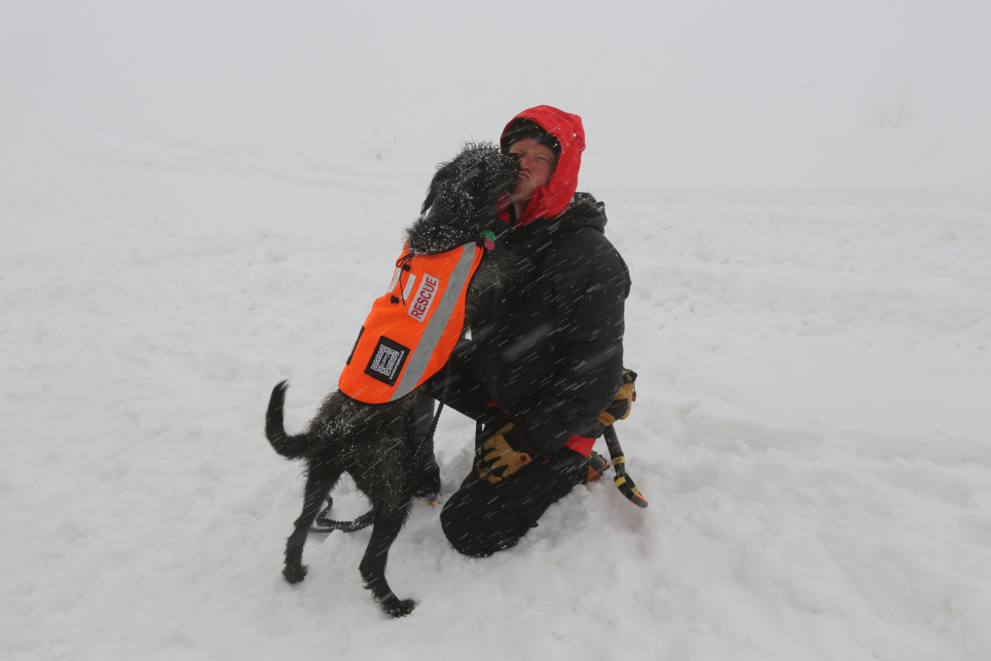David Benson with Lakes Search Dog Brock
